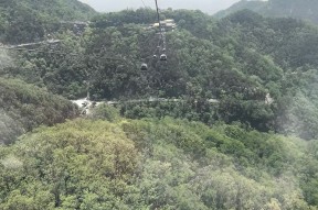 Nine Games Official-包含风云突变山东泰山今晨手感冰凉，法国杯版图或变，压力陡增，团队化学反应显著的词条